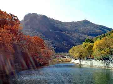 新澳天天开奖资料大全旅游团，颐天枕